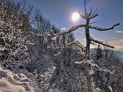 35 Splende il sole, ma fa freddo e la neve non si stacca dalle piante, se non scosse  da noi